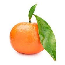 voesh tangerine glow body cream