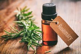 The Power of Rosemary in Skin Care