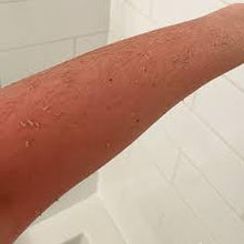 Renaissance Rose Body Love