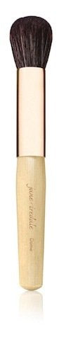 Jane Iredale Dome Brush the summit spa